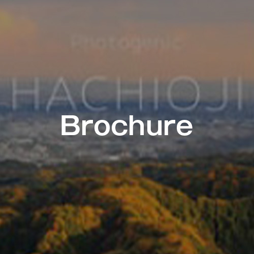 brochure description
