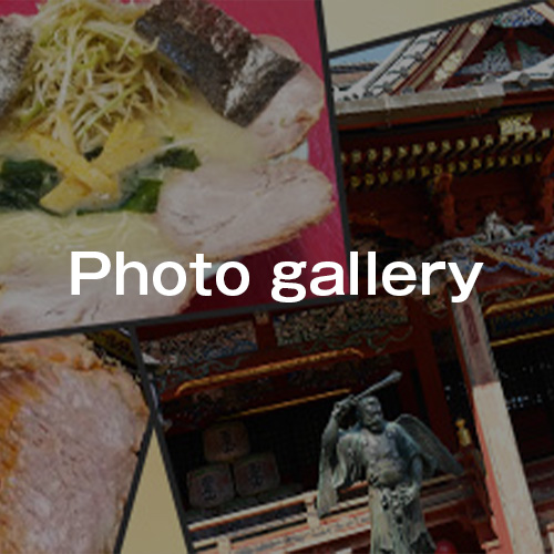 gallery description
