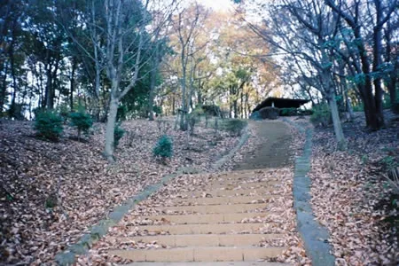 久保山公園の画像