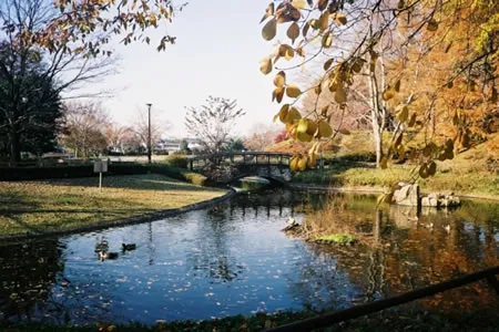 清水公園の画像
