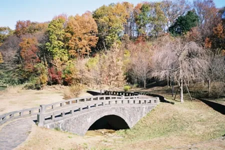栃谷戸公園の画像
