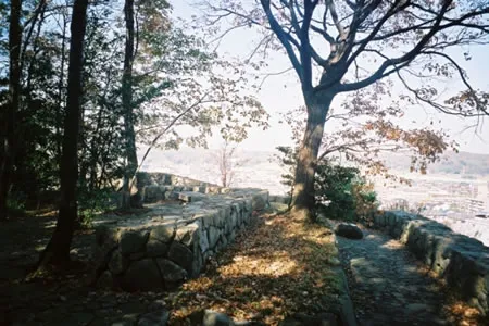 蓮生寺公園の画像