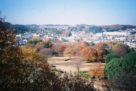 富士見台公園の画像