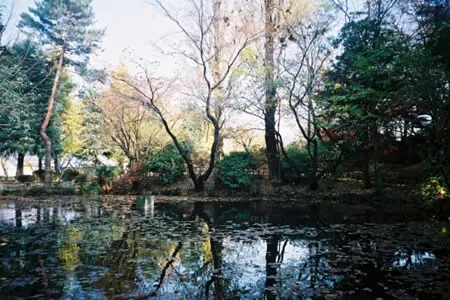 六本杉公園湧水池の画像