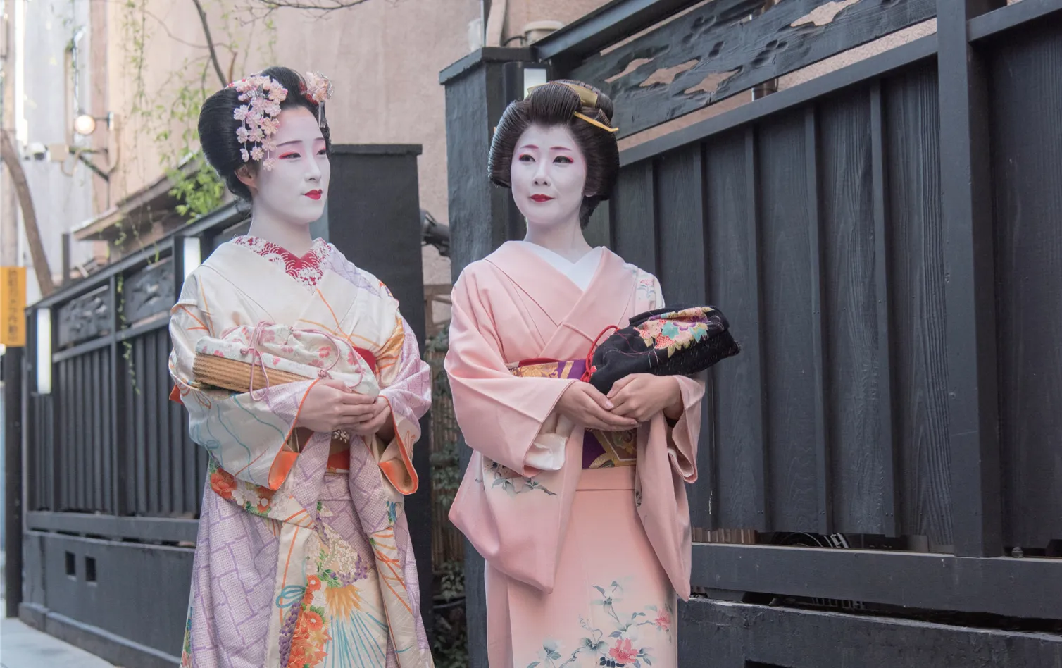 八王子芸妓の画像
