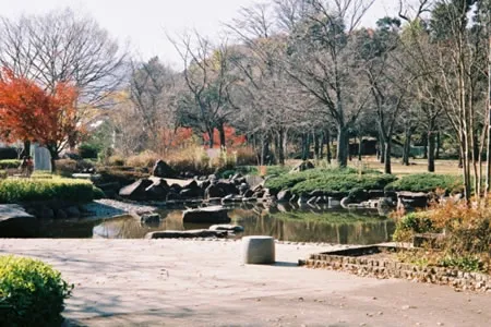 陵南公園の画像