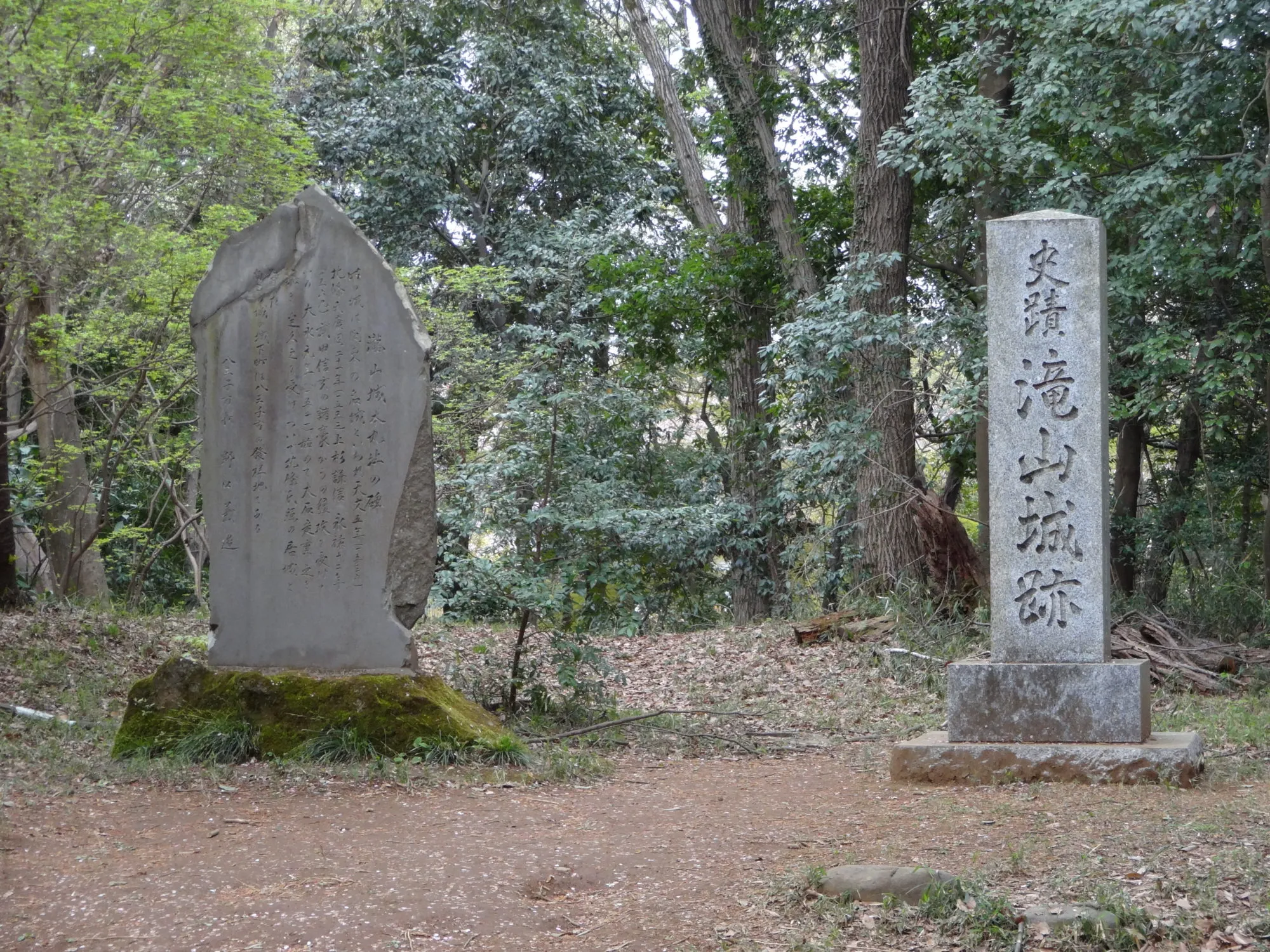 滝山公園の画像