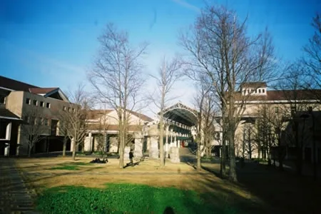 東京都立大学の画像