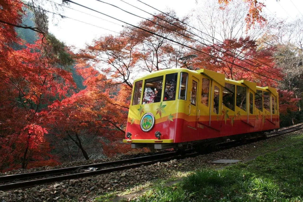 高尾登山電鉄の画像