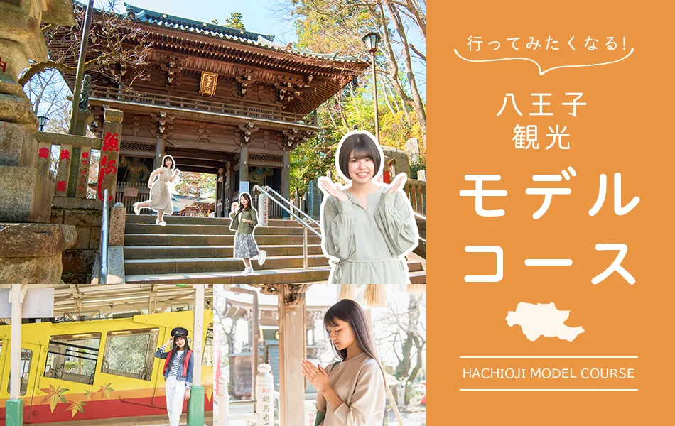 モデルコースのビジュアル