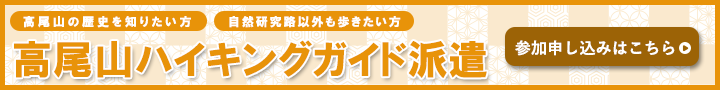 高尾山ハイキングガイド派遣