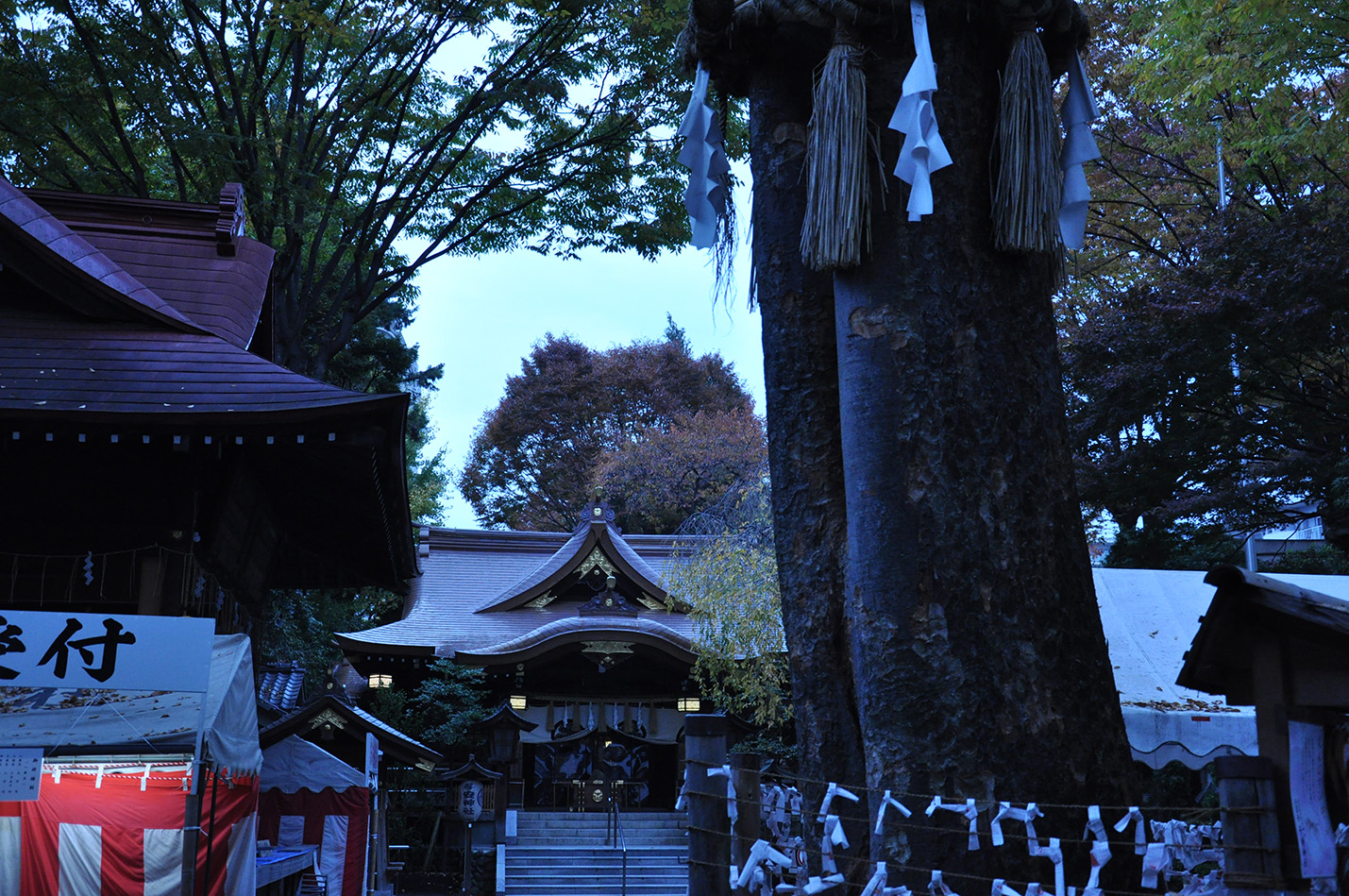 子安神社の画像0