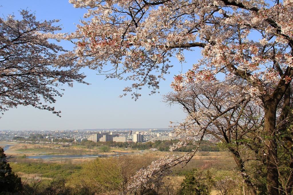 都立滝山公園・滝山城跡