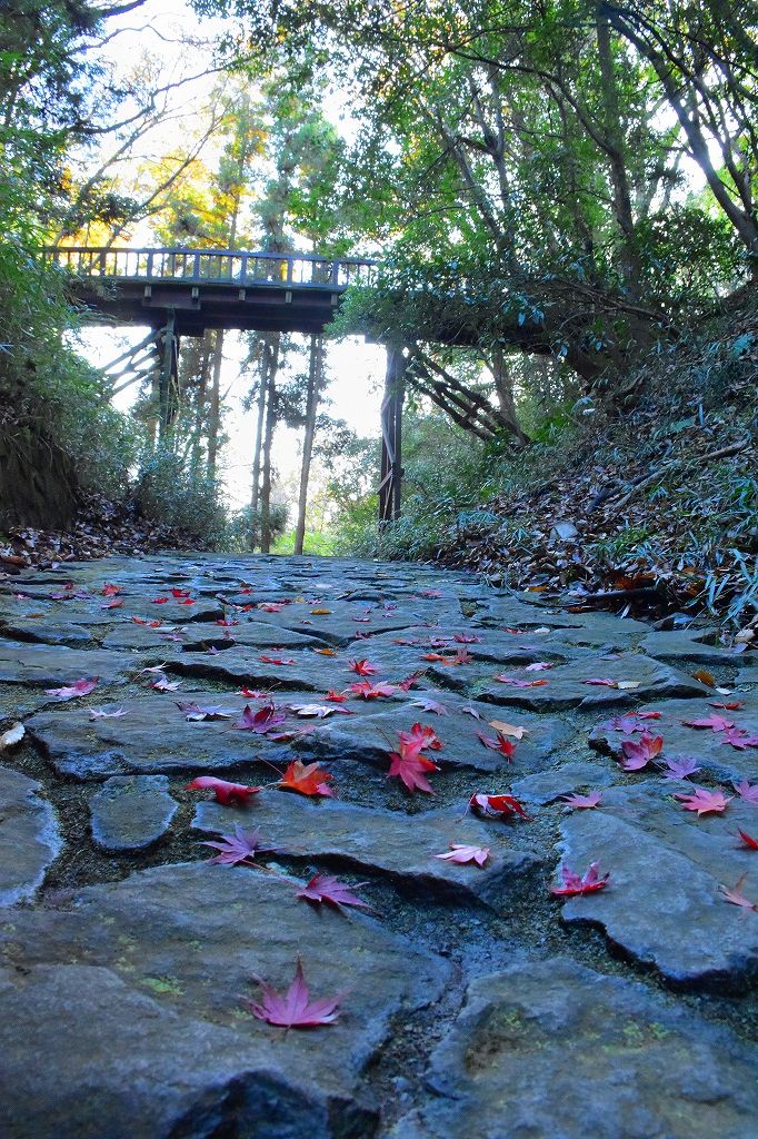 都立滝山公園・滝山城跡の画像1