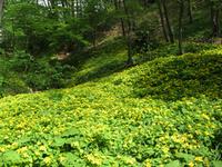 片倉城跡公園の画像2