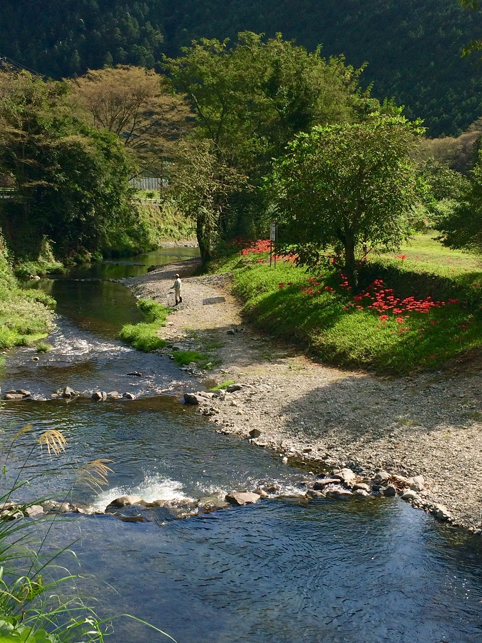 北浅川恩方ます釣場の画像2