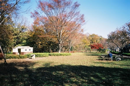 都立小宮公園の画像1
