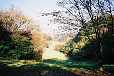 都立長沼公園の画像0