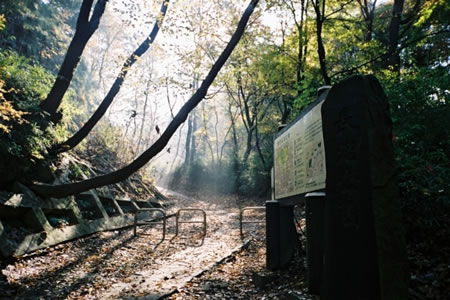 都立長沼公園の画像1