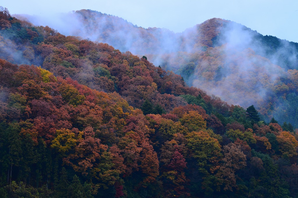 陣馬山の画像3