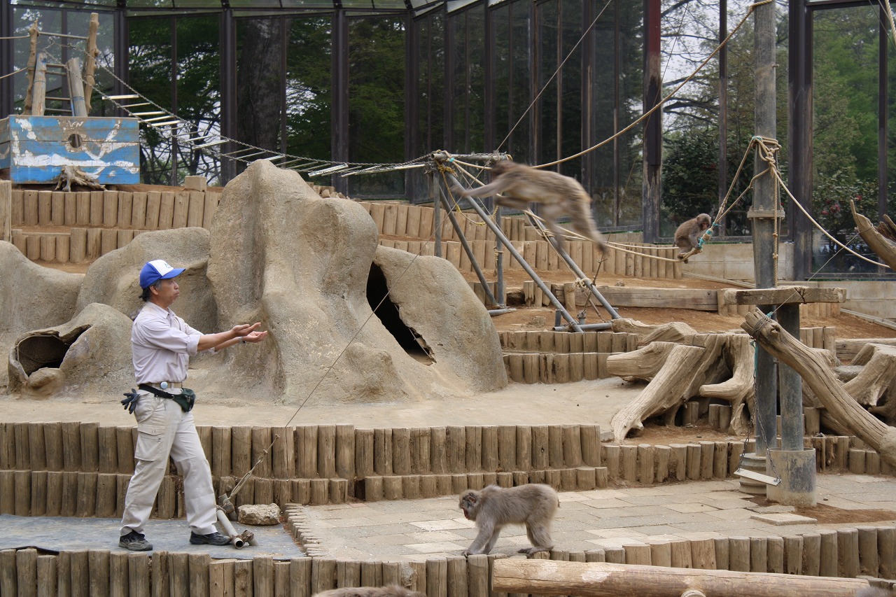 高尾山さる園・野草園