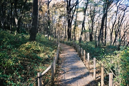 都立小宮公園