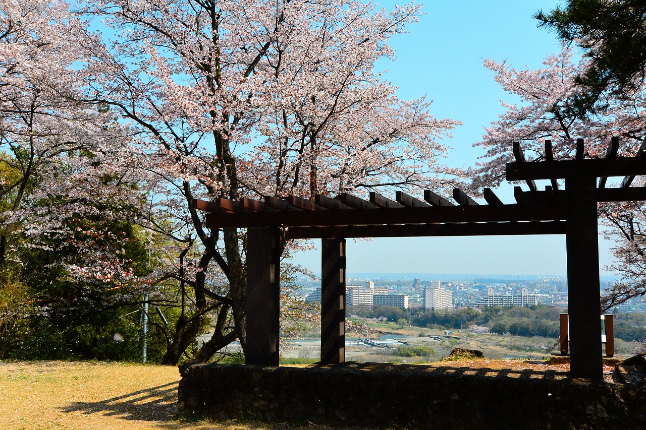 滝山城跡