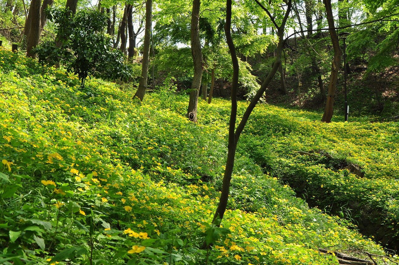 片倉城跡公園