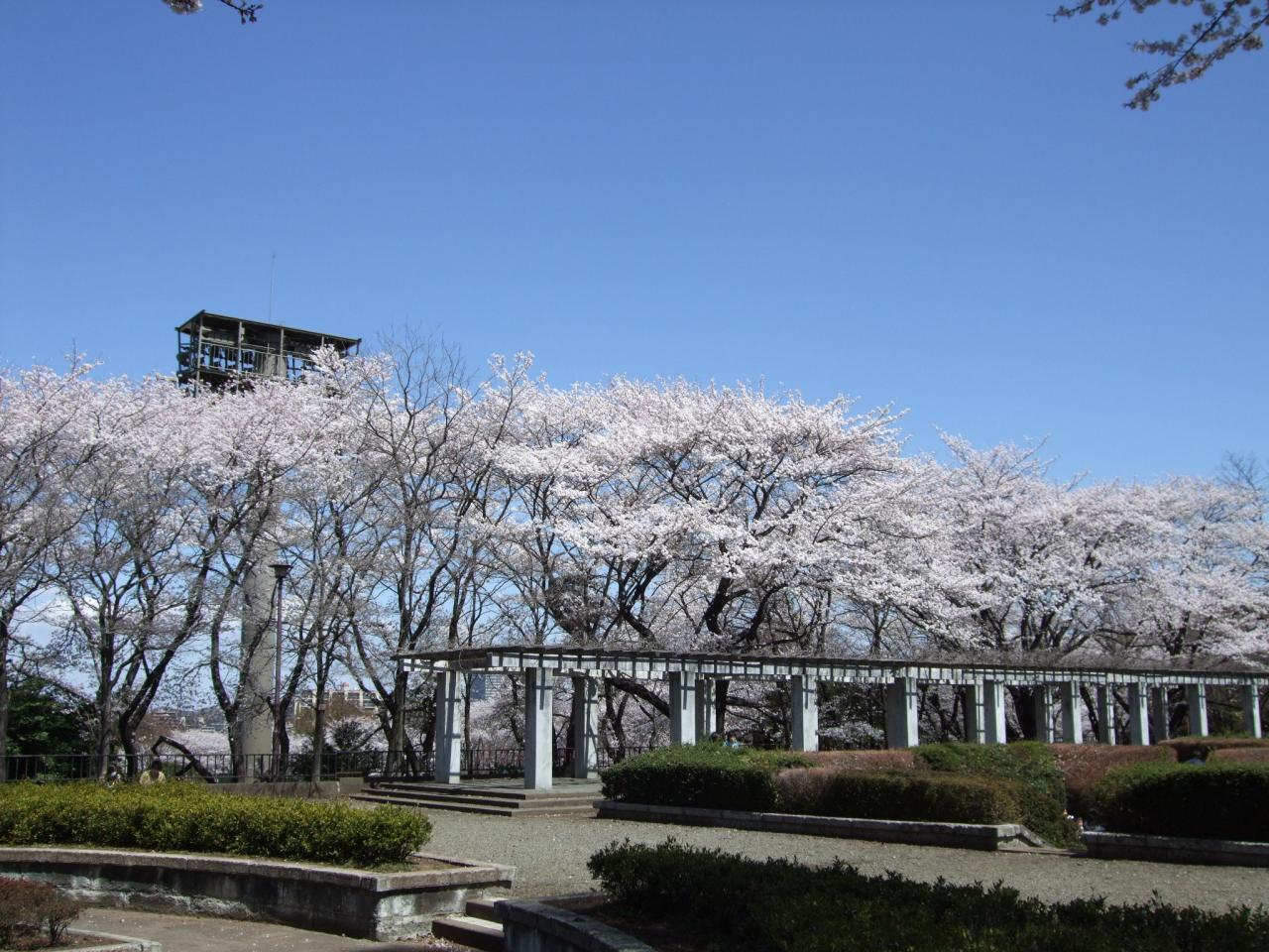 富士森公園