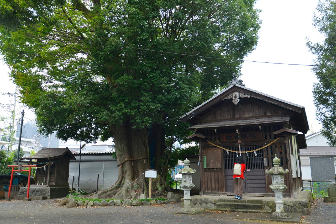熊野神社