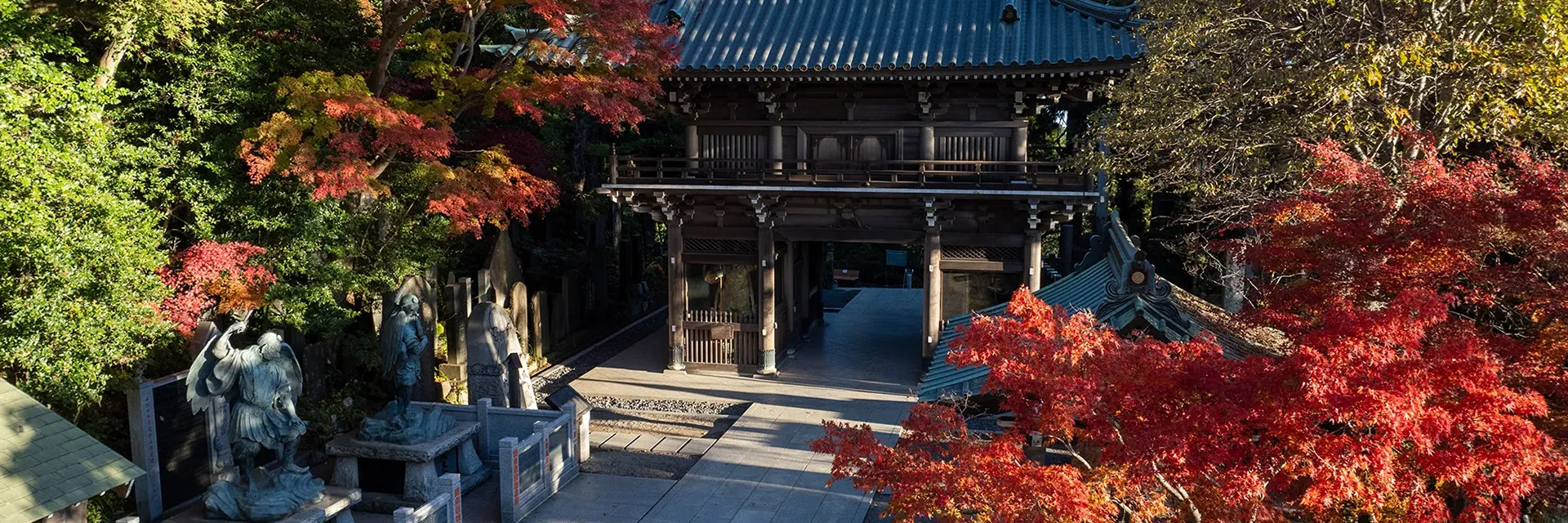 야쿠오인(薬王院)의 단풍