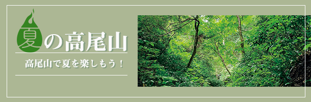 夏の高尾山　清涼体感巡り