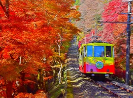 Along the cable car line