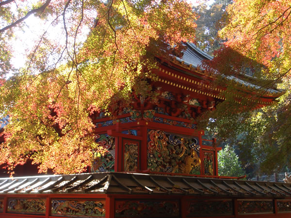 秋の薬王院