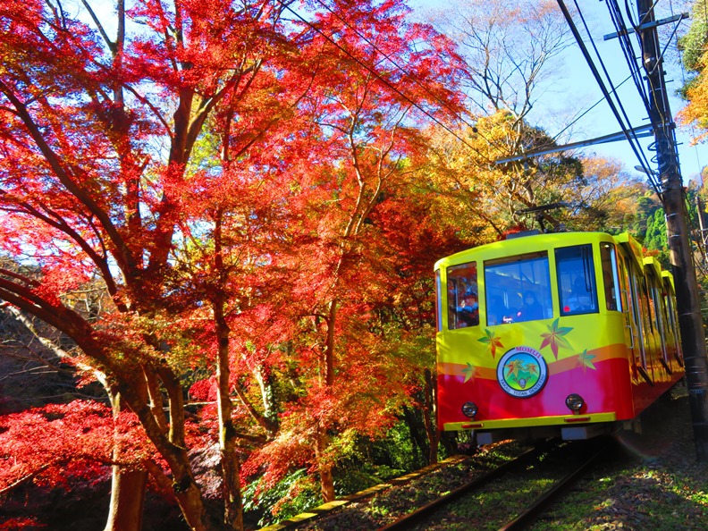 紅葉とケーブルカー