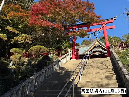 高尾山の紅葉の見ごろは11月中旬から12月上旬です 高尾山の紅葉の見ごろは11月中旬から12月上旬です
