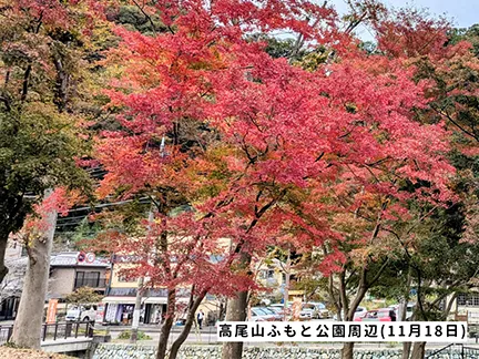 高尾山の紅葉の見ごろは11月中旬から12月上旬です 高尾山の紅葉の見ごろは11月中旬から12月上旬です