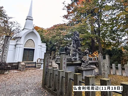 高尾山の紅葉の見ごろは11月中旬から12月上旬です 高尾山の紅葉の見ごろは11月中旬から12月上旬です