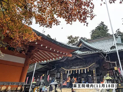 高尾山の紅葉の見ごろは11月中旬から12月上旬です 高尾山の紅葉の見ごろは11月中旬から12月上旬です