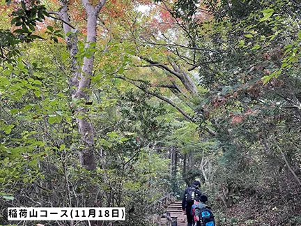 高尾山の紅葉の見ごろは11月中旬から12月上旬です 高尾山の紅葉の見ごろは11月中旬から12月上旬です