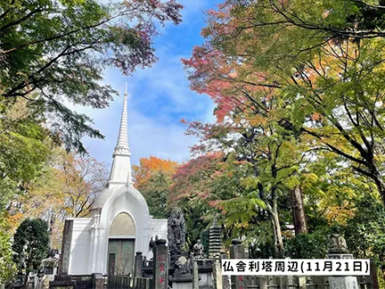 高尾山の紅葉の見ごろは11月中旬から12月上旬です 高尾山の紅葉の見ごろは11月中旬から12月上旬です