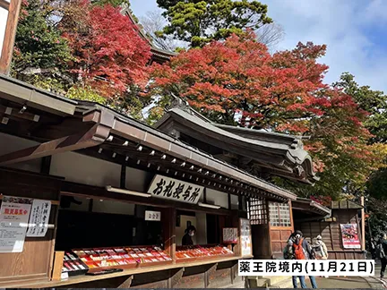 高尾山の紅葉の見ごろは11月中旬から12月上旬です 高尾山の紅葉の見ごろは11月中旬から12月上旬です