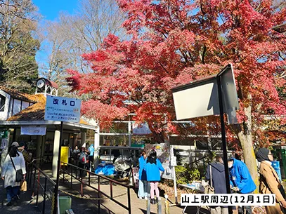 高尾山の紅葉の見ごろは11月中旬から12月上旬です 高尾山の紅葉の見ごろは11月中旬から12月上旬です