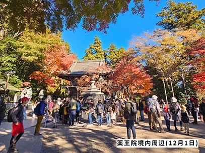 高尾山の紅葉の見ごろは11月中旬から12月上旬です 高尾山の紅葉の見ごろは11月中旬から12月上旬です
