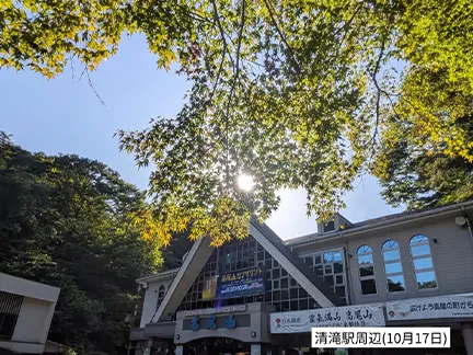 高尾山の紅葉の見ごろは11月中旬から12月上旬です 高尾山の紅葉の見ごろは11月中旬から12月上旬です