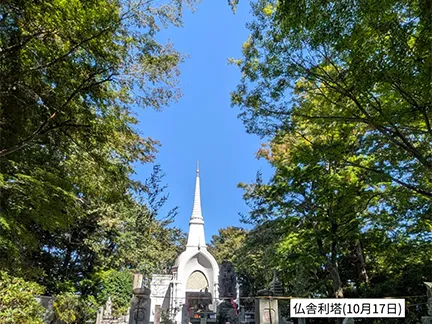 高尾山の紅葉の見ごろは11月中旬から12月上旬です 高尾山の紅葉の見ごろは11月中旬から12月上旬です