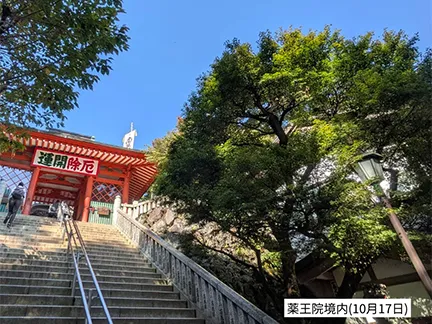 高尾山の紅葉の見ごろは11月中旬から12月上旬です 高尾山の紅葉の見ごろは11月中旬から12月上旬です