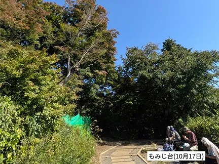 高尾山の紅葉の見ごろは11月中旬から12月上旬です 高尾山の紅葉の見ごろは11月中旬から12月上旬です