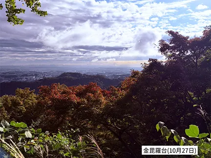 高尾山の紅葉の見ごろは11月中旬から12月上旬です 高尾山の紅葉の見ごろは11月中旬から12月上旬です