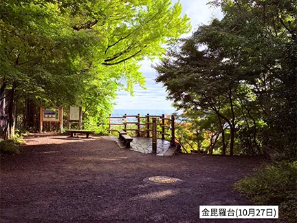 高尾山の紅葉の見ごろは11月中旬から12月上旬です 高尾山の紅葉の見ごろは11月中旬から12月上旬です